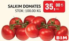 SALKIM DOMATES KG SALKIM DOMATES KG